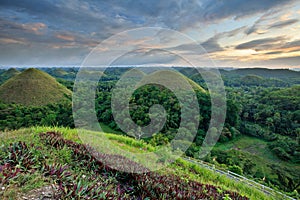 Chocolate Hills in Bohol, Philippines photo