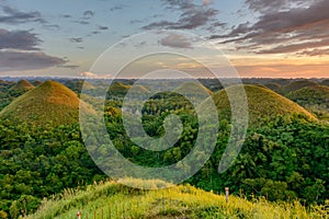 Chocolate Hills - the main landmark of the Philippines