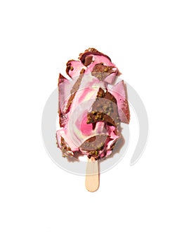 Chocolate ice cream fell on floor