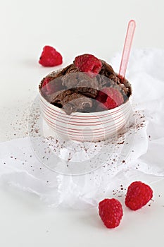 Chocolate Ice Cream with Raspberries