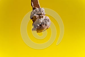 Chocolate ice cream on wooden spoon on yellow background