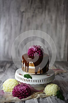 Chocolate layer cake with chrysanthemum on top