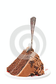 Chocolate Layer Cake with Fork