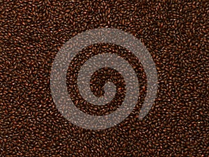 Chocolate Malted Barley photo