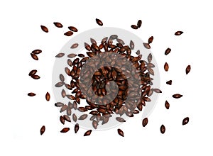 Chocolate Malted Barley on White Background photo