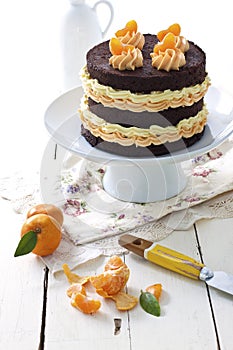 Chocolate and mandarin cake