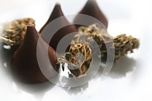 Chocolate Marijuana Edibles With Bud