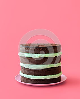 Chocolate mint cake isolated on a pink background