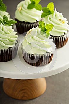 Chocolate mint cupcakes with green frosting