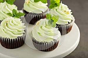 Chocolate mint cupcakes with green frosting