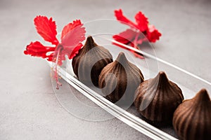 Chocolate Modak - Indian sweet food offered to Lord ganesha on chaturthi