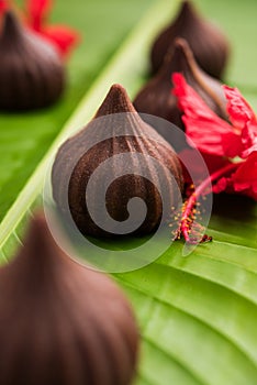 Chocolate Modak - Indian sweet food offered to Lord ganesha on chaturthi