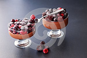 Chocolate mousse dessert with frozen berries on grey background close up isolated horizontal photo