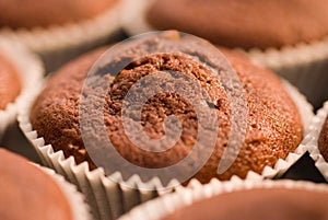 Chocolate Muffin.