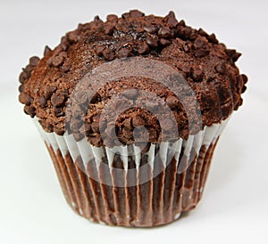 Chocolate Muffin