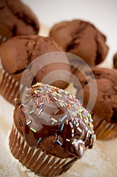 Chocolate muffin