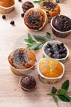 Chocolate muffin and nut muffin, homemade bakery on dark background. Muffin with blueberries on a wooden table.