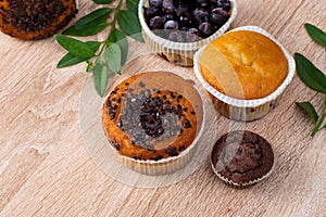 Chocolate muffin and nut muffin, homemade bakery on dark background. Muffin with blueberries on a wooden table.