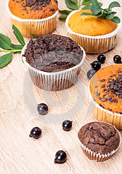 Chocolate muffin and nut muffin, homemade bakery on dark background. Muffin with blueberries on a wooden table.