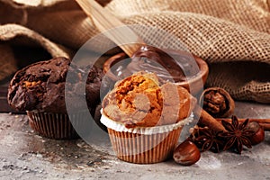 Chocolate muffin and nut muffin, homemade bakery on grey background