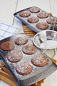 Chocolate Muffins