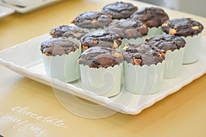 Chocolate Muffins with Light Blue Wrappers