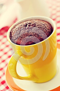 Chocolate mug cake