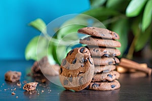 Chocolate oatmeal cookies on table against background of green leaves