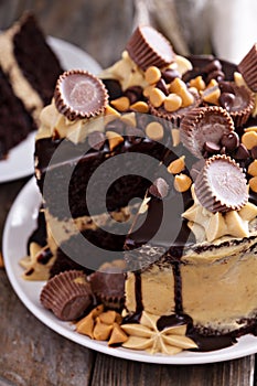 Chocolate peanut butter cake with frosting