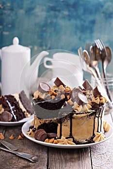 Chocolate peanut butter cake with frosting