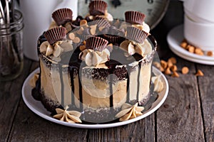 Chocolate peanut butter cake with frosting