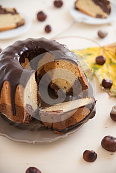 Chocolate Peanut Butter Sponge Cake