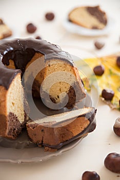 Chocolate Peanut Butter Sponge Cake