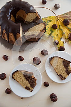 Chocolate Peanut Butter Sponge Cake