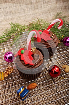 Chocolate peppermint cupcakes with candy cane on top for christmas and newyear