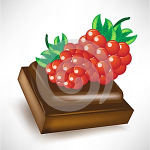 Chocolate piece with berry fruit