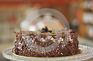 Fresh delicious Chocolate Pistaccio Cake