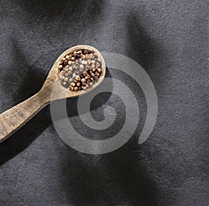 Chocolate quinoa seeds - Chenopodium quinoa