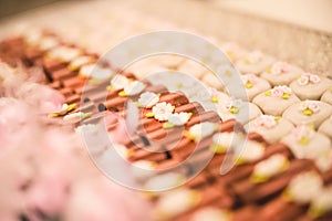 CHOCOLATE ROLLS WITH WHITE FLOWERS ON TOP IN A STRAIGHT ARRANGEMENT FOR A WEDDING DESERT TABLE FULL OF CANDY AND PASTRY