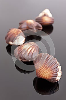 Chocolate shells