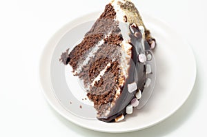 Chocolate sponge cake, coated and filled with marshmallow flavour frosting, chocolate flavour frosting, decorated in the digestive