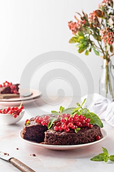 Chocolate sponge cake decorated with red currant berries sliced on white table background with text space