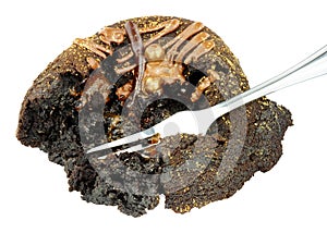 Chocolate Sponge Pudding