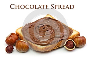 Chocolate spread and filbert nuts photo