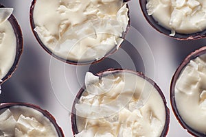 Chocolate sweet dessert filling with coconut cream and coconut petals on top, product photography fot patisserie photo