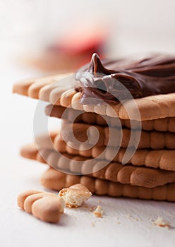 Chocolate sweet melting nougat cream on cookies with strawberries