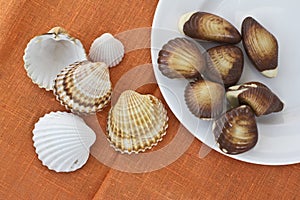 Chocolate sweets and seashells