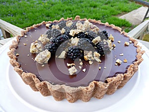 Chocolate tart with blackberry and hazelnut praline crumble