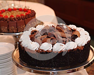 Chocolate torte photo
