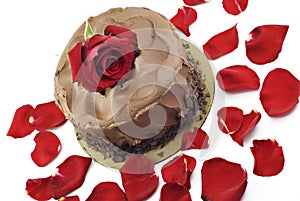 Chocolate Valentines Cake with Rose